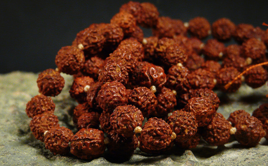 The Sacred Power of Rudraksha: Unveiling Its Benefits and Significance